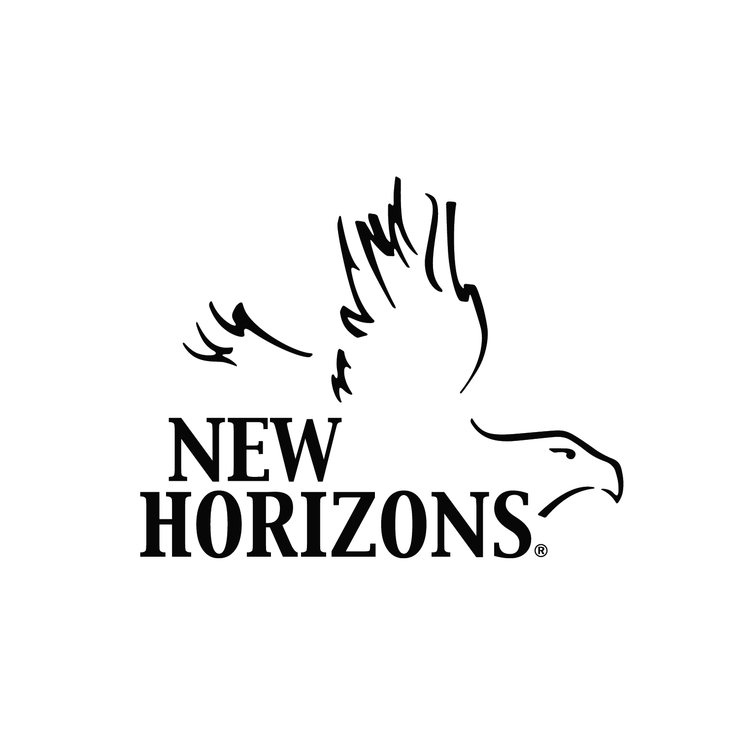 New Horizons RV logo