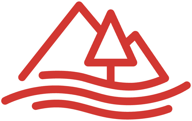 National Vehicle logo